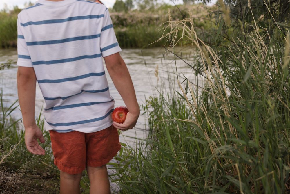 Boy in striped shirt and red shorts holds an apple by a river surrounded by tall green reeds.
