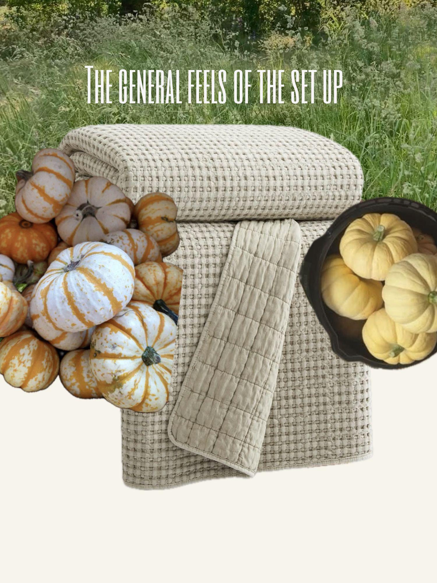 Cozy fall display with waffle-knit blankets, decorative gourds, and white pumpkins in a natural autumn setting.