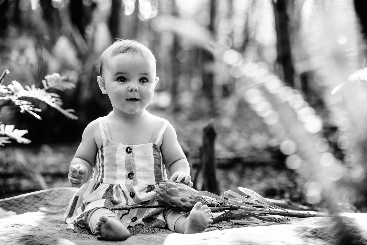 Black and white solo portrait of a cute baby sitting on at the sand in a forest setting.