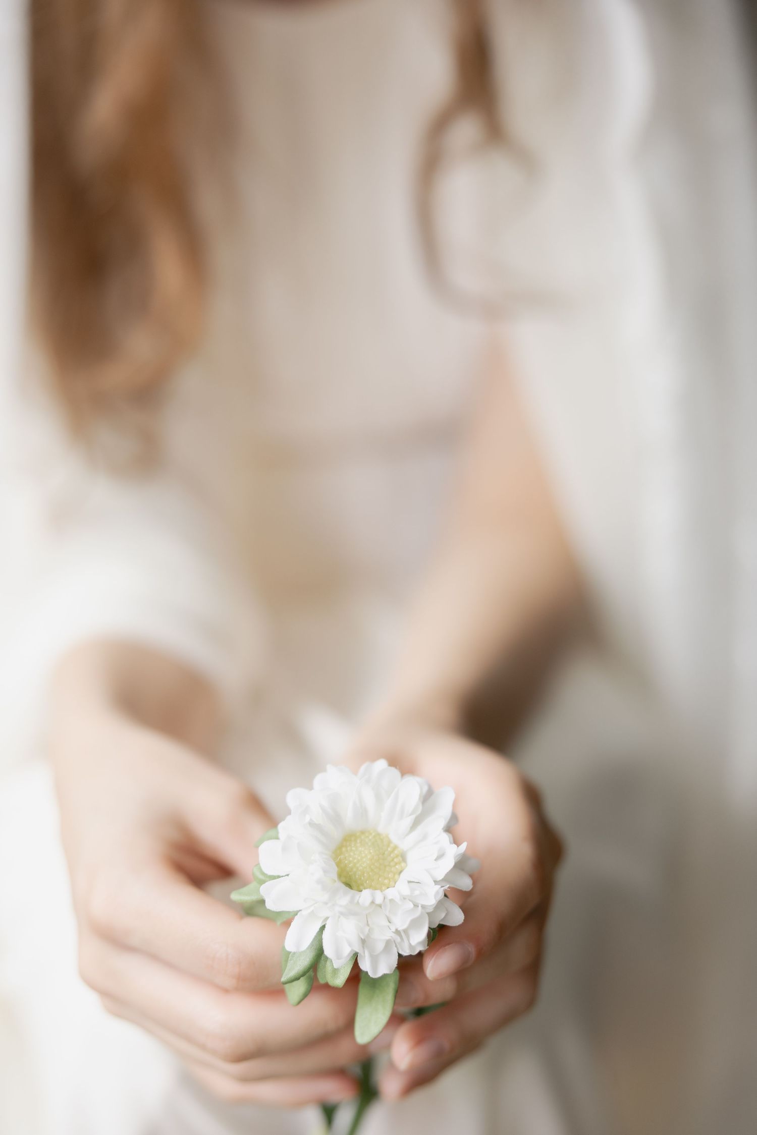 Close-up of a woman in white dress gently holding a single white daisy flower in her cupped hands.