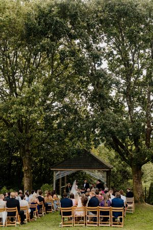Guests seated at elegant outdoor wedding ceremony beneath tall green trees.