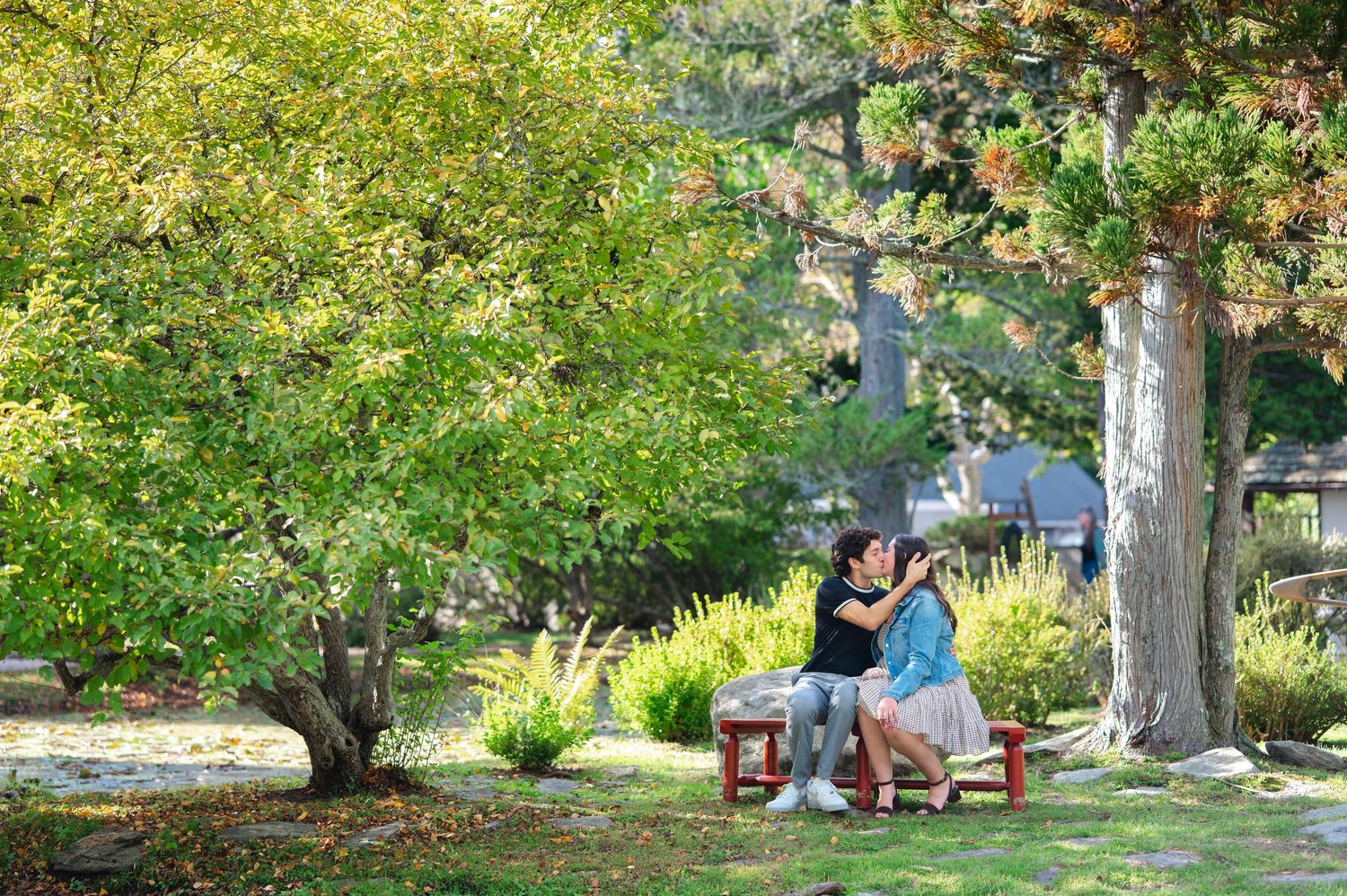 A newly engaged couple kisses on a wooden bench under lush green trees in a peaceful park setting in Westchester County after their proposal