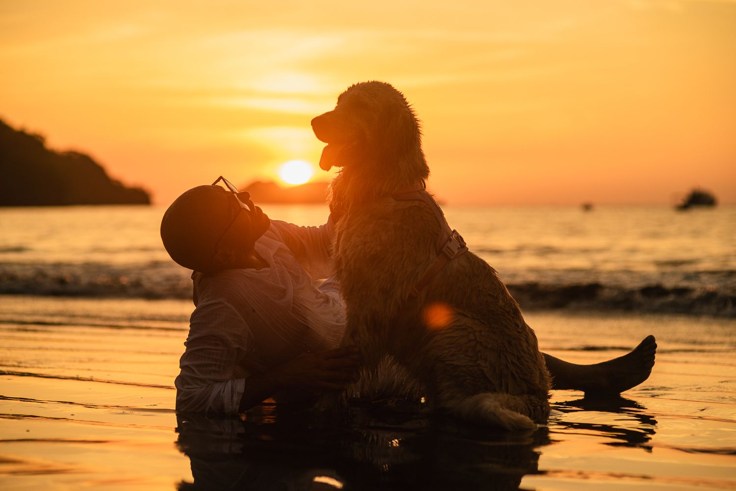 Silhouette of a man and his dog sitting together in the ocean water during a stunning golden sunset.