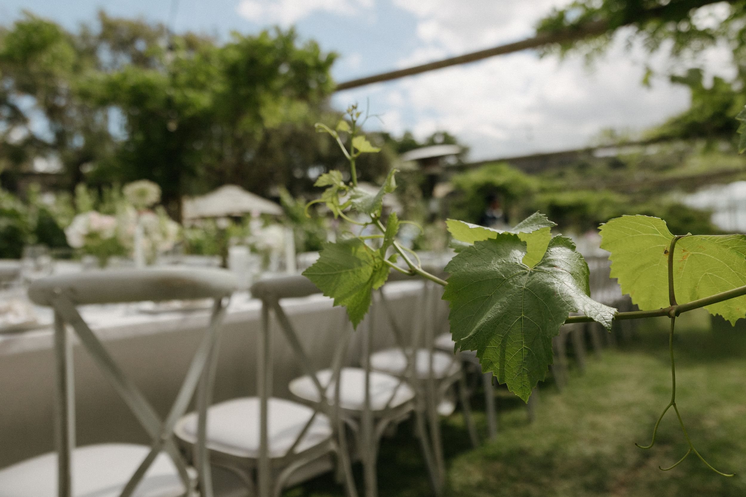 Browse Cape Town and Cape Winelands wedding venues for real weddings by Christene de Coning Photography at Laborie Estate.