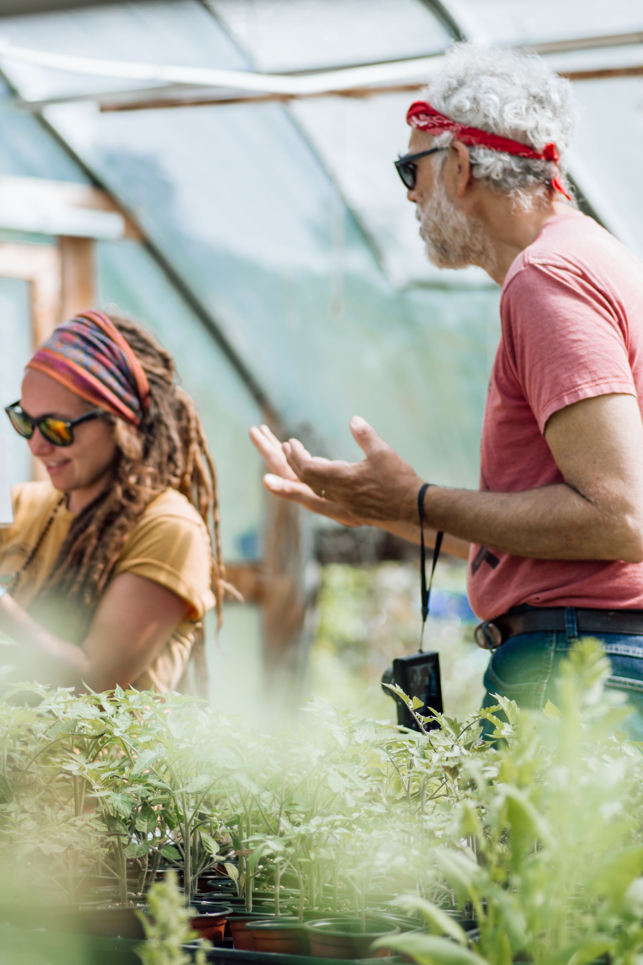 Two people examining young plant seedlings inside a bright greenhouse during the growing season.