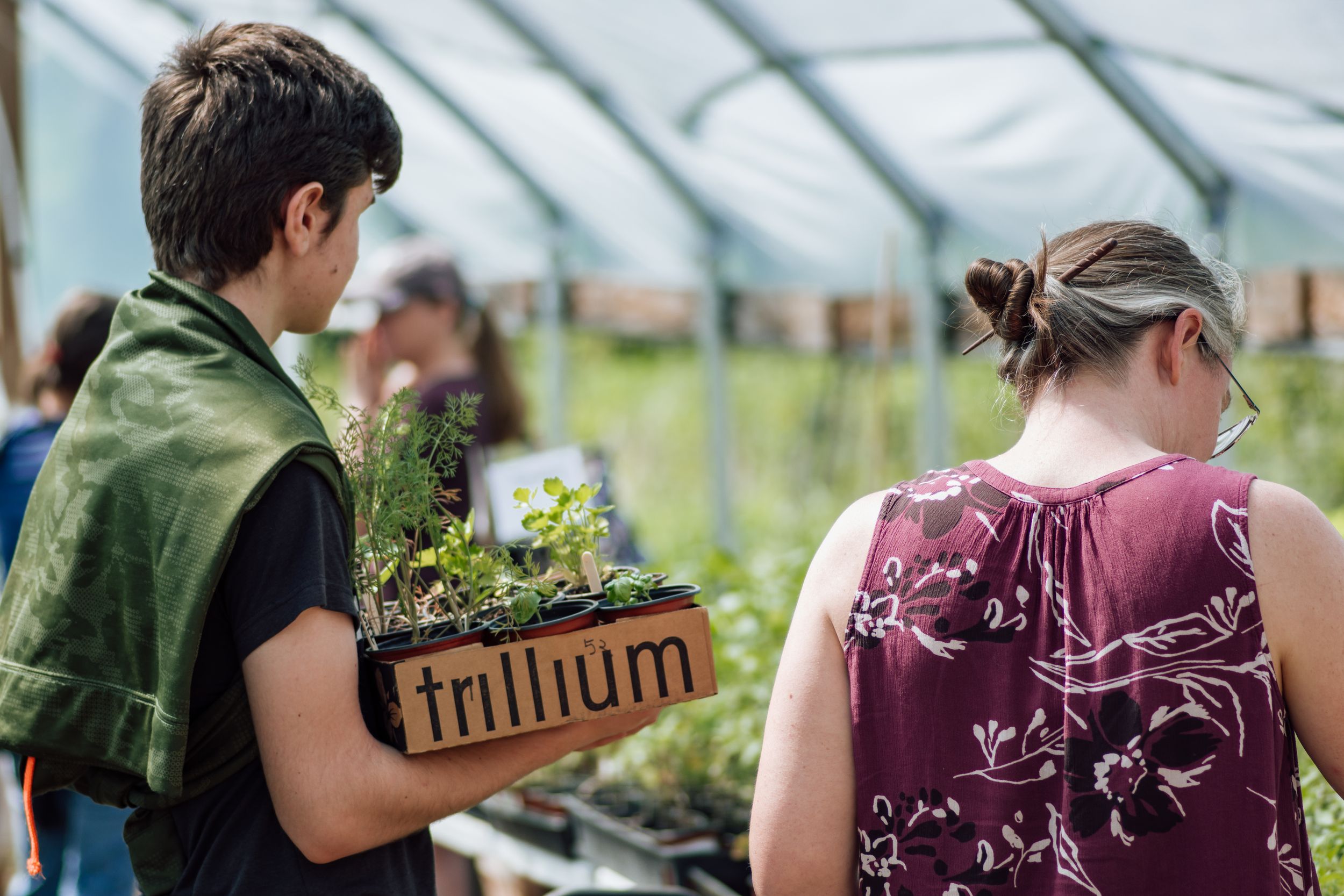 A young man carries a Trillium branded wooden box of plants inside a greenhouse.