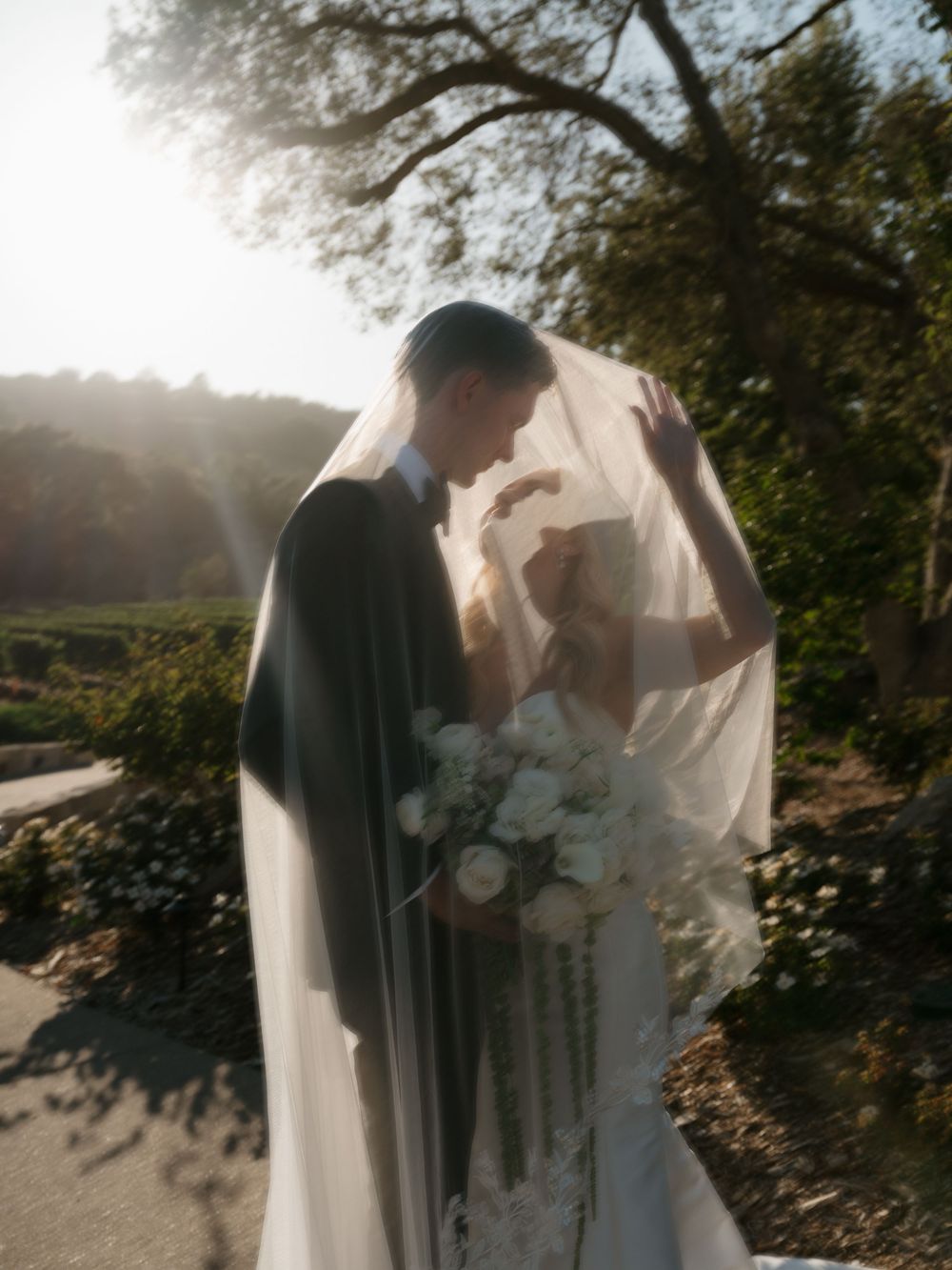 Bride and groom share romantic kiss under flowing veil with soft sunlight and lush greenery at outdoor wedding.