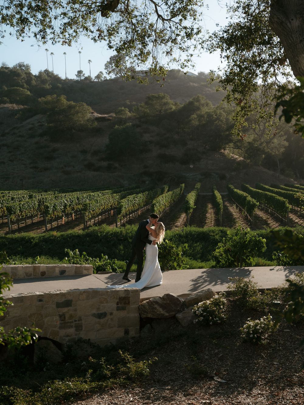 Bride and groom kissing on stone wall with lush vineyard and sunlit hills backdrop.