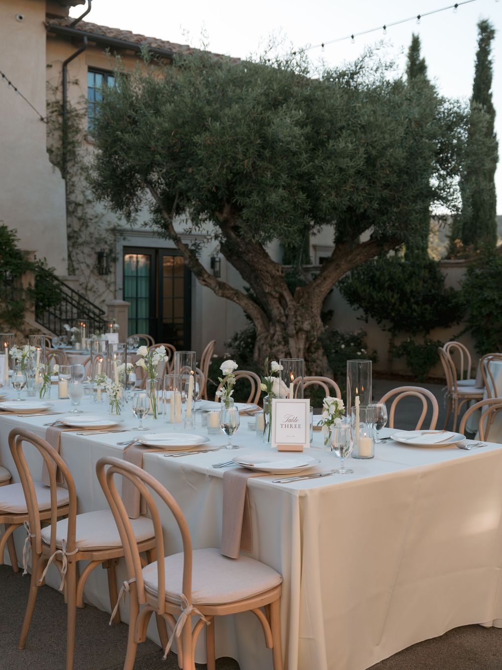 Elegant outdoor wedding reception with long tables, cross-back chairs, floral centerpieces, and string lights under an olive tree.