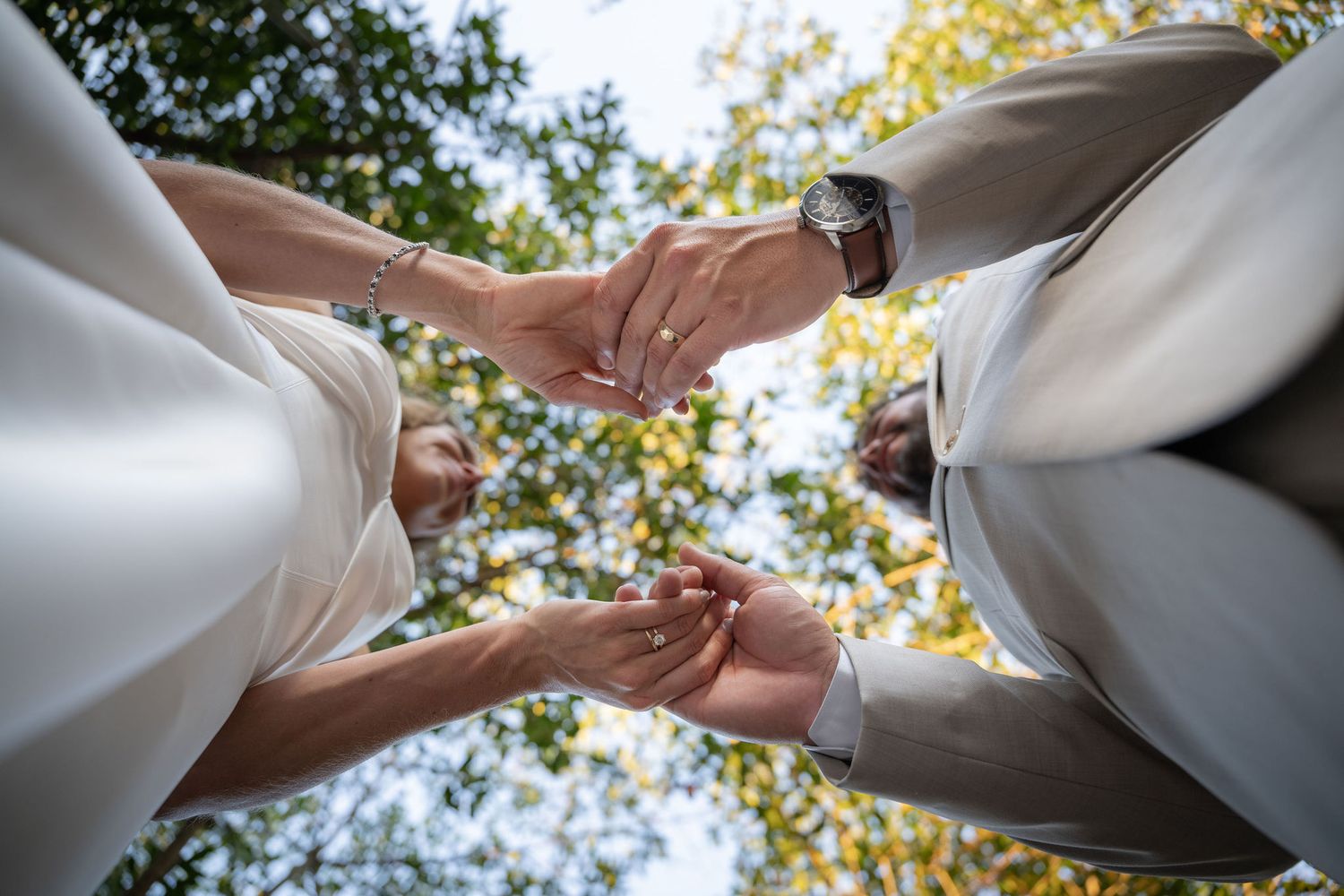 Bride and groom's hands photographed from below with the mangrove canopy overhead