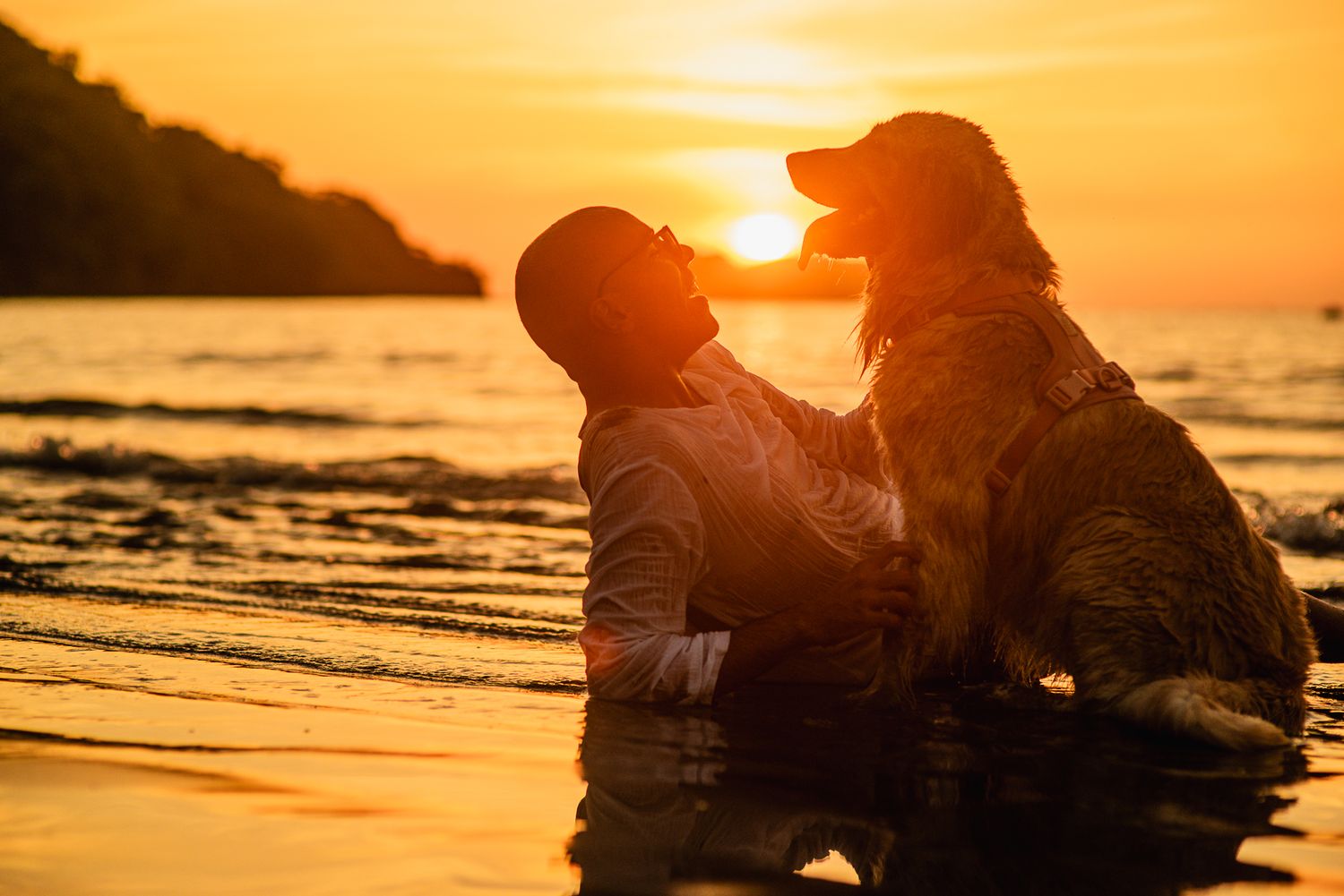 A person and golden retriever dog sitting together in ocean waves during a stunning golden sunset.