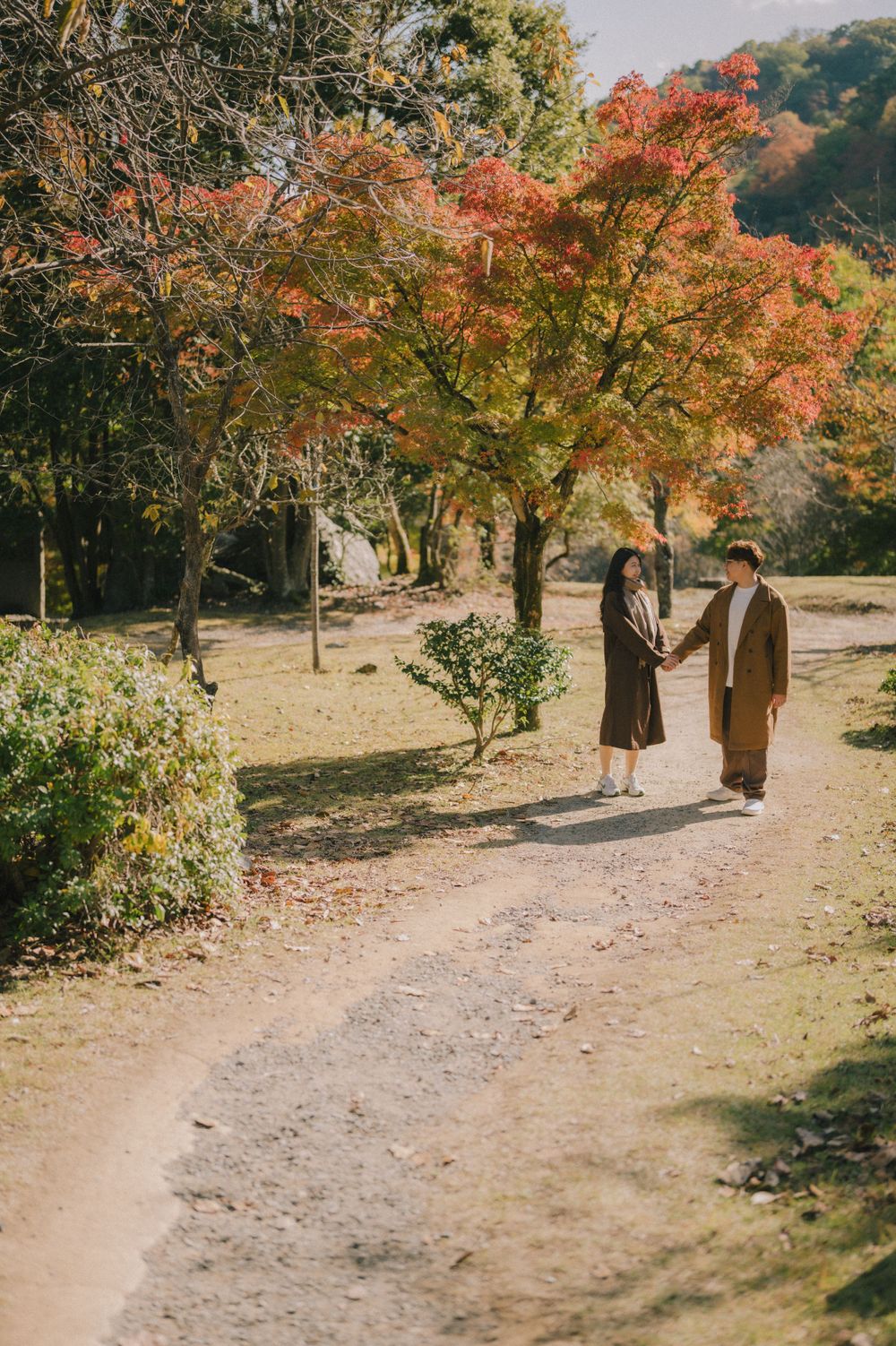 Couple strolling hand in hand along a peaceful garden path surrounded by vibrant red and green autumn trees.