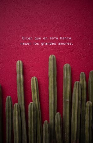 Tall green saguaro cacti against a vibrant red wall with Spanish text reading Dicen que en esta banca nacen los grandes amores.