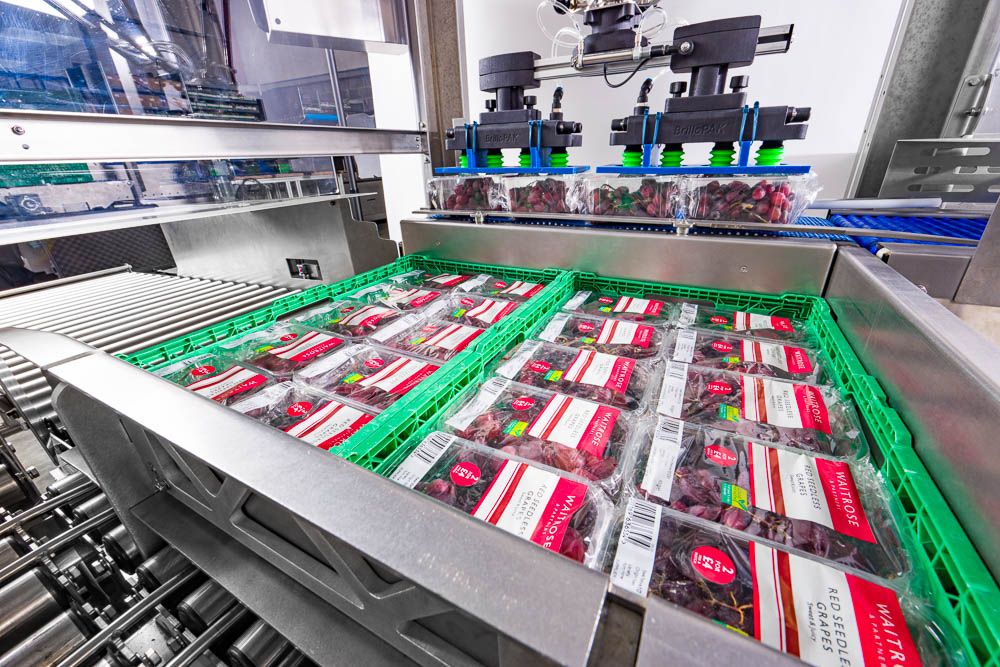 Machinery photography | Automated conveyor belt system packaging fresh berries in clear plastic containers in a modern facility.