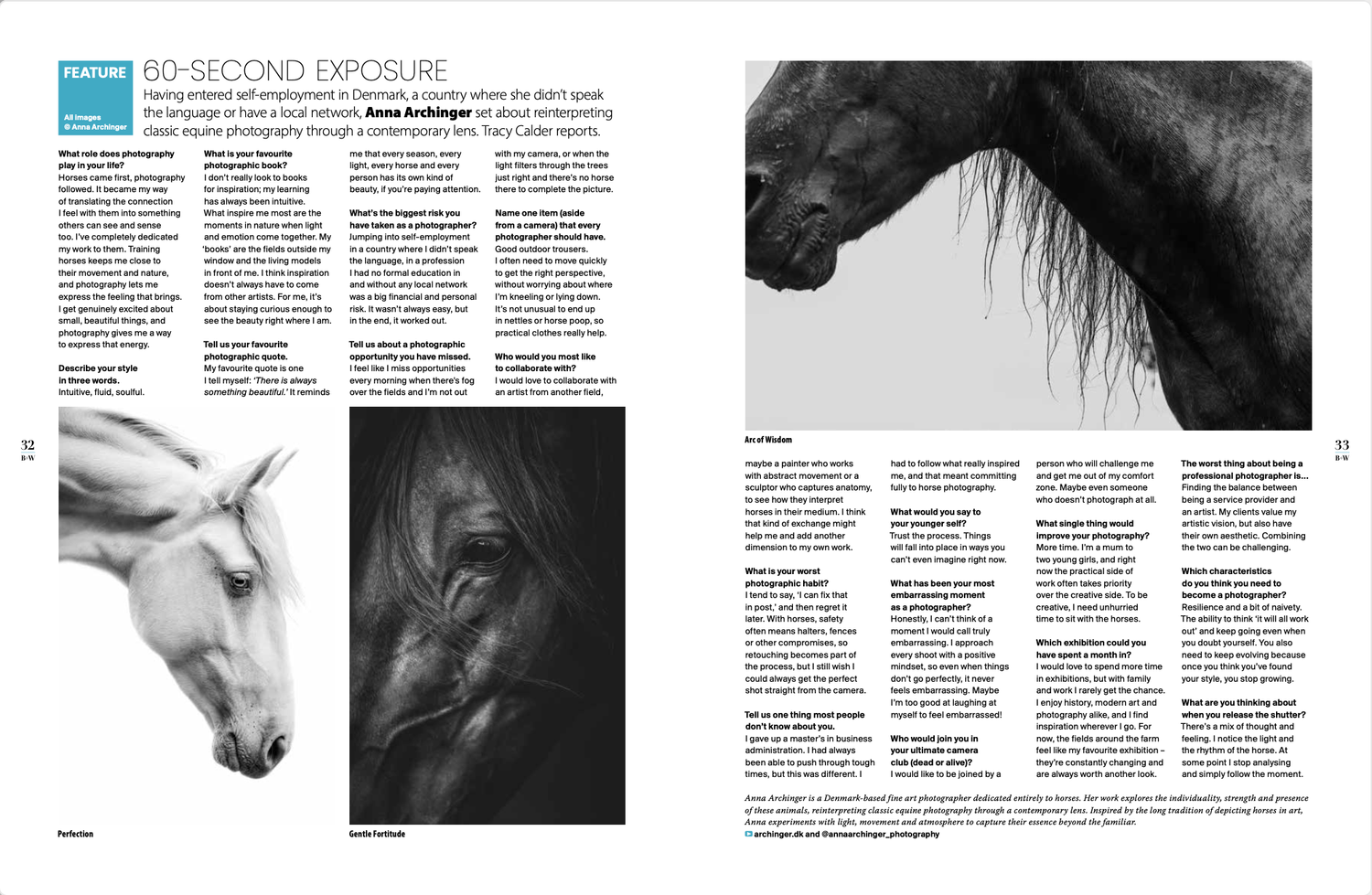 Dramatic black and white equine portraits showcasing horses with flowing manes against dark backgrounds.
