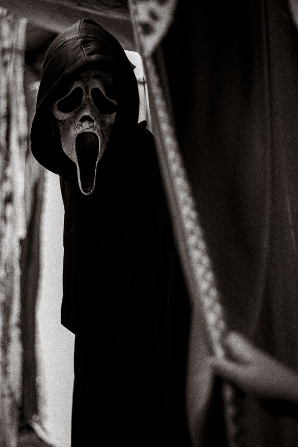A person wearing a Ghostface Halloween costume with black robe and iconic skull mask peers through dark curtains.