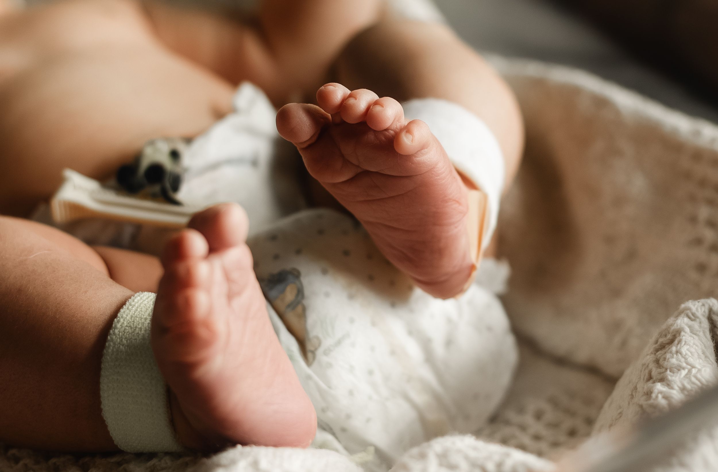 Close-up of newborn baby feet and hands with hospital ID bracelet on white lace blanket.