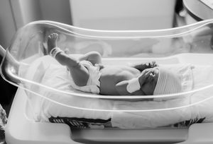Premature newborn baby resting in a hospital incubator, black and white medical photography.
