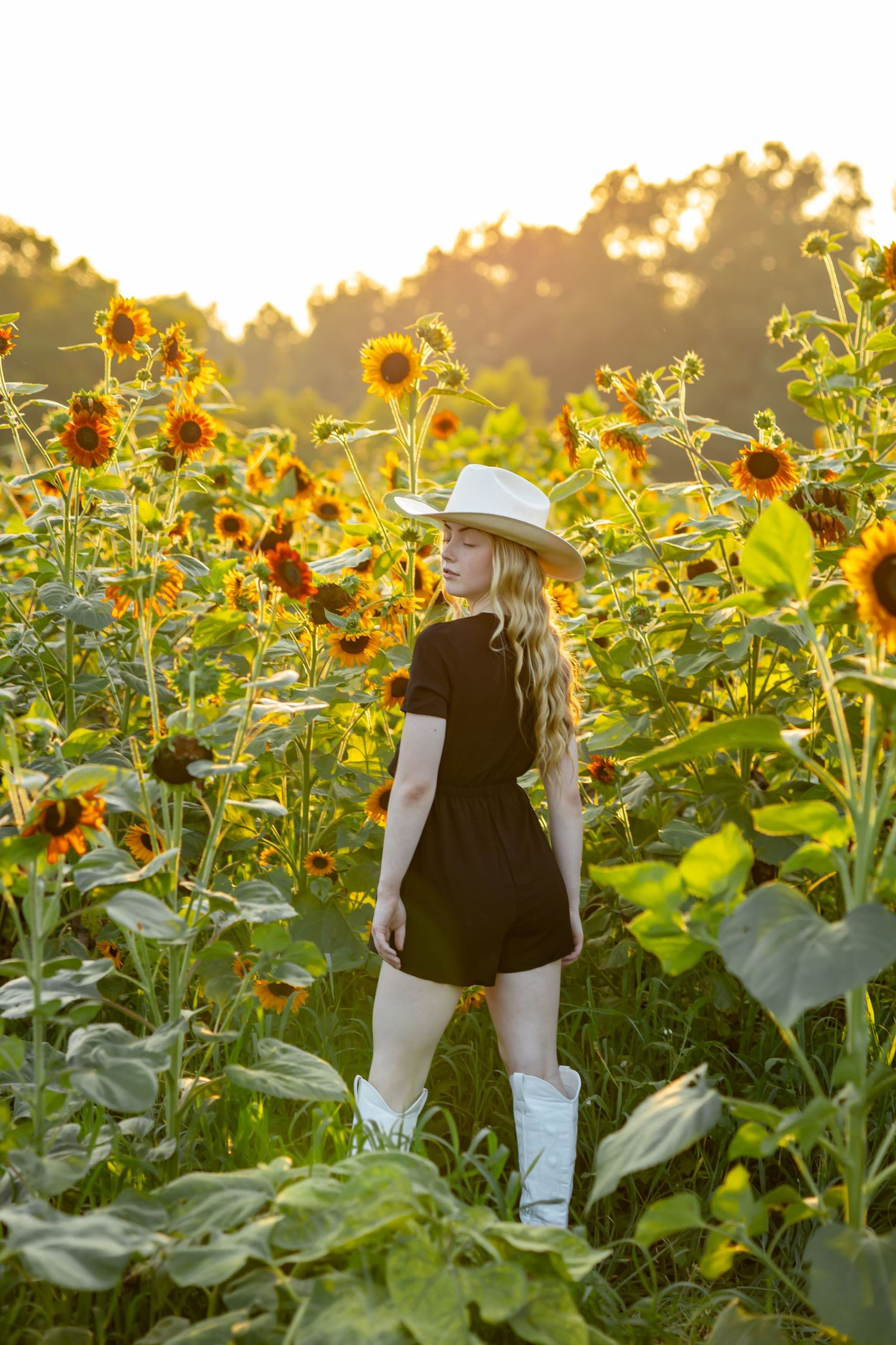 Girl in black dress, white cowboy hat and boots standing in a sunflower field at golden hour.