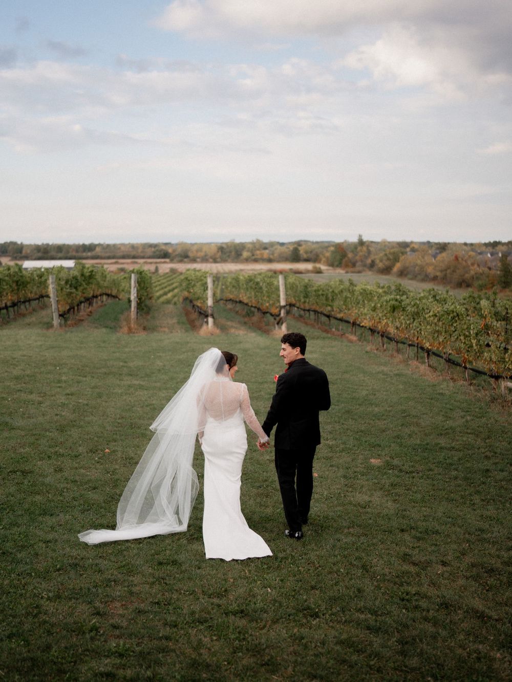 A bride and groom walk hand in hand through a lush vineyard on their wedding day, her veil flowing in the breeze.