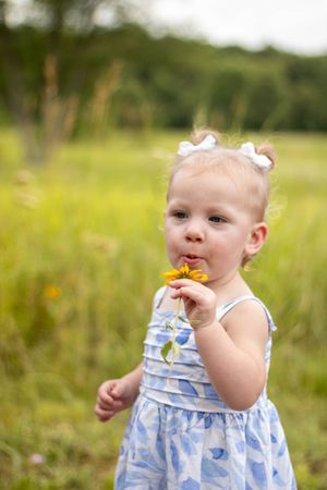 Toddler girl in blue dress holding yellow wildflower in green meadow.