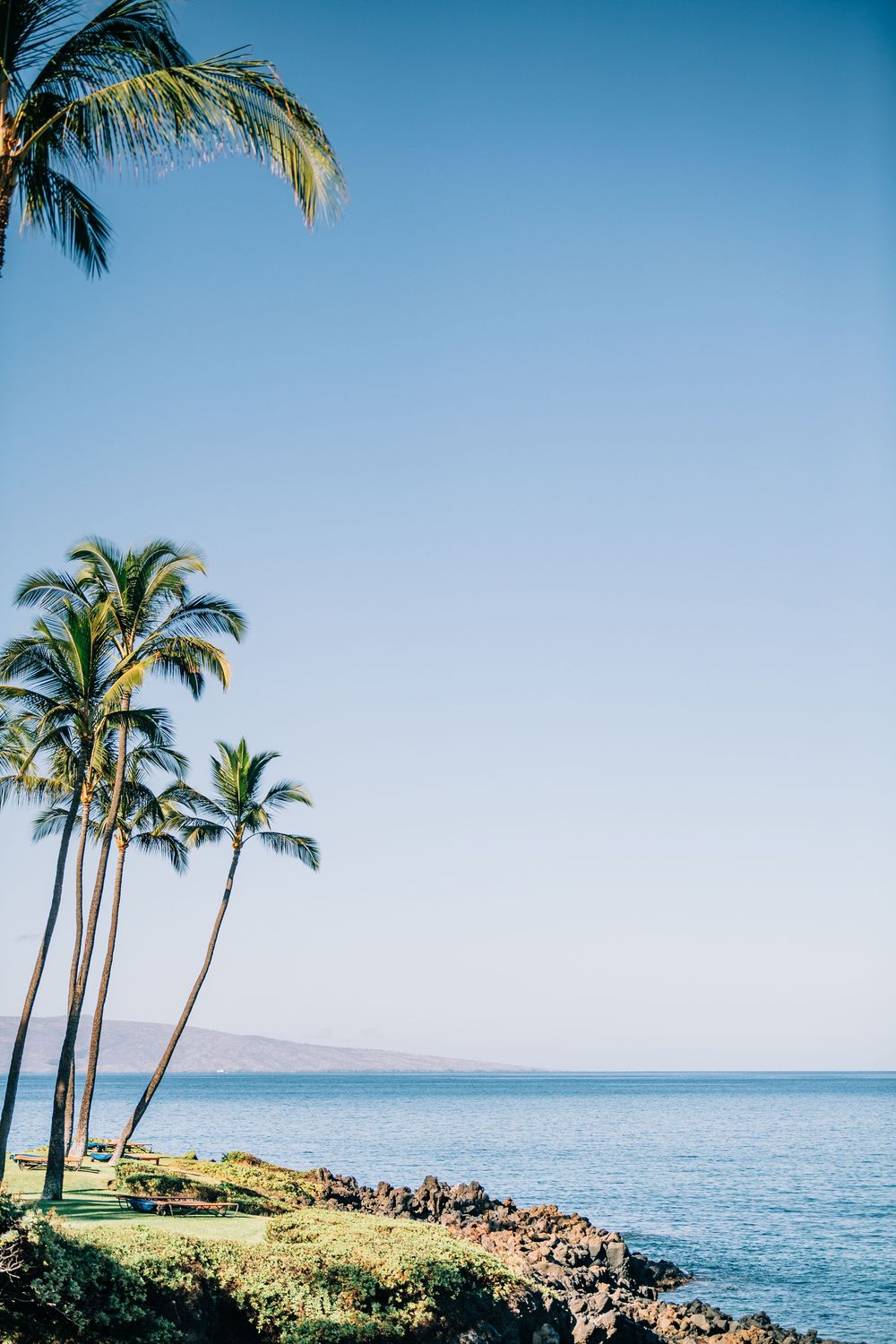 Lush palm trees line a rocky Hawaiian coastline under a clear blue sky with distant island views.