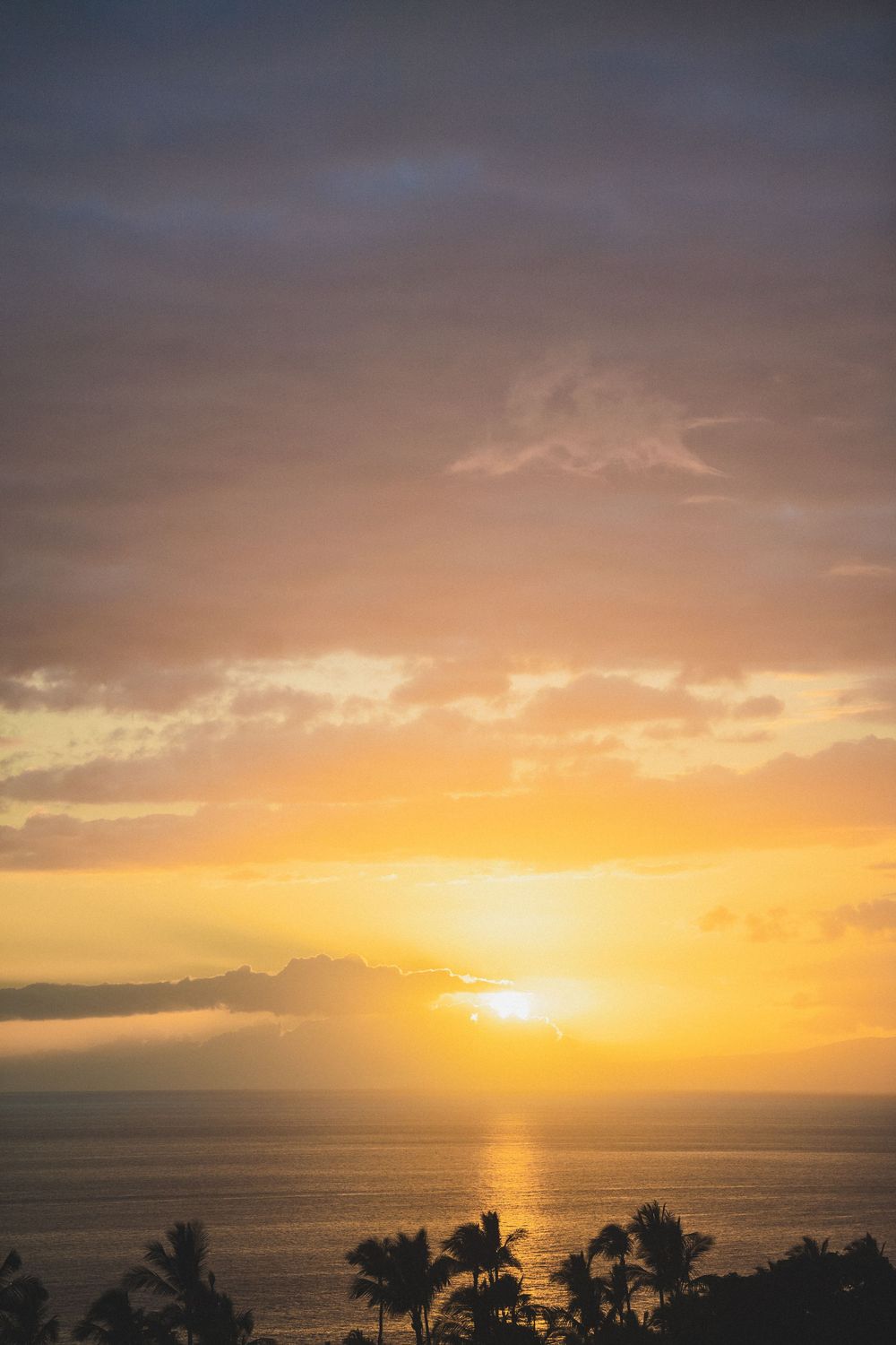 Vibrant golden sunset over the Pacific Ocean with silhouetted palm trees in Maui, Hawaii.