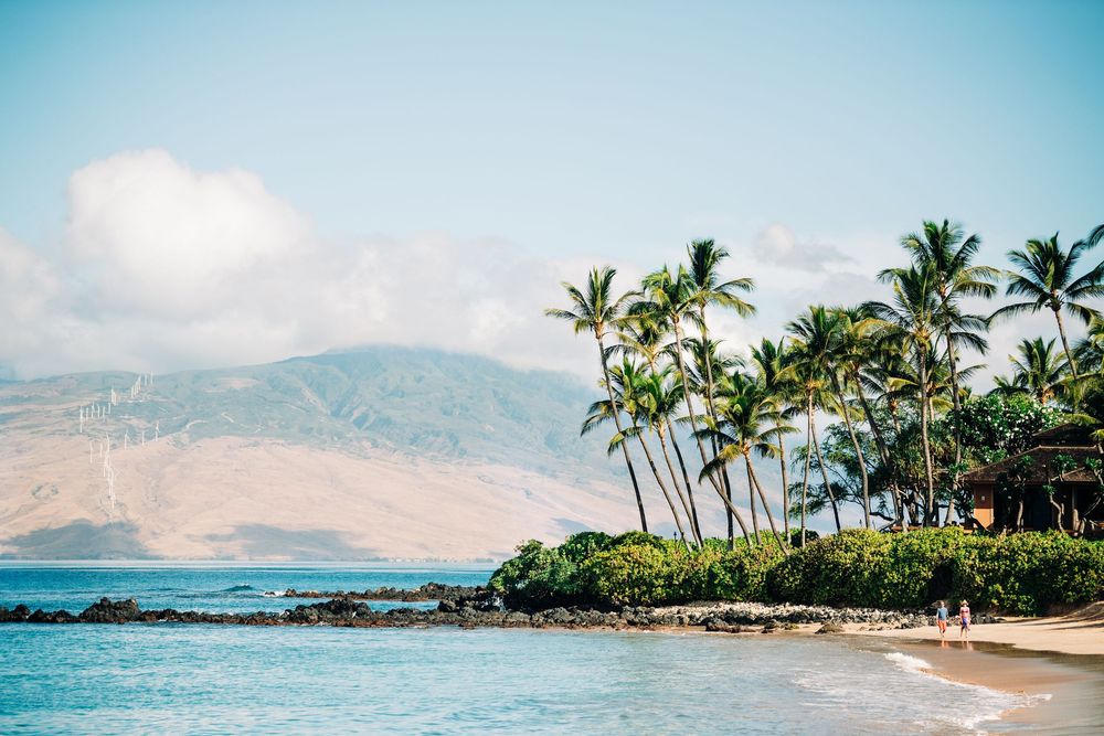 Tropical beach with palm trees, rocky shoreline, and mountain backdrop under a sunny blue sky.