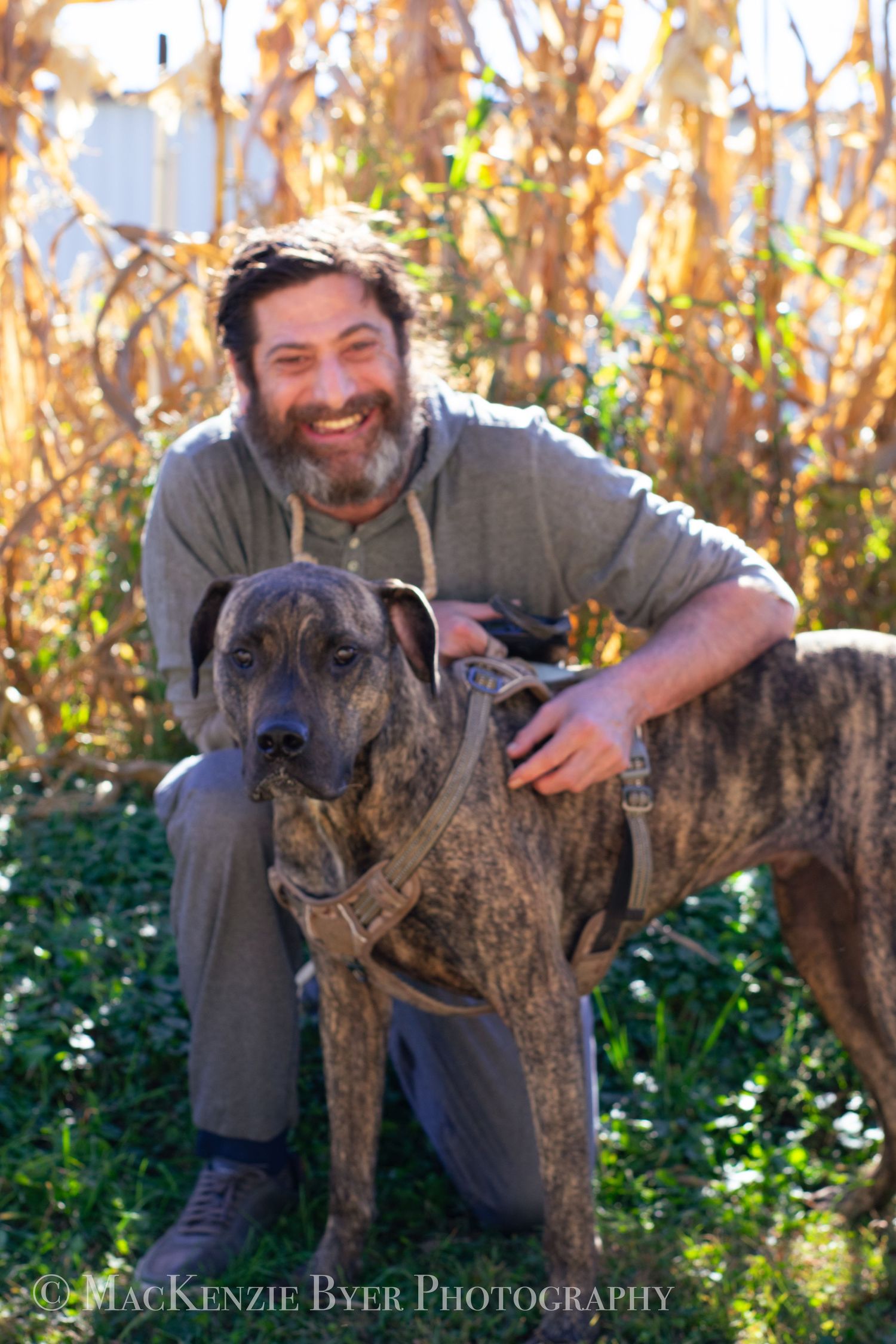 A bearded man crouches beside a large brindle dog in a sunny autumn field setting.