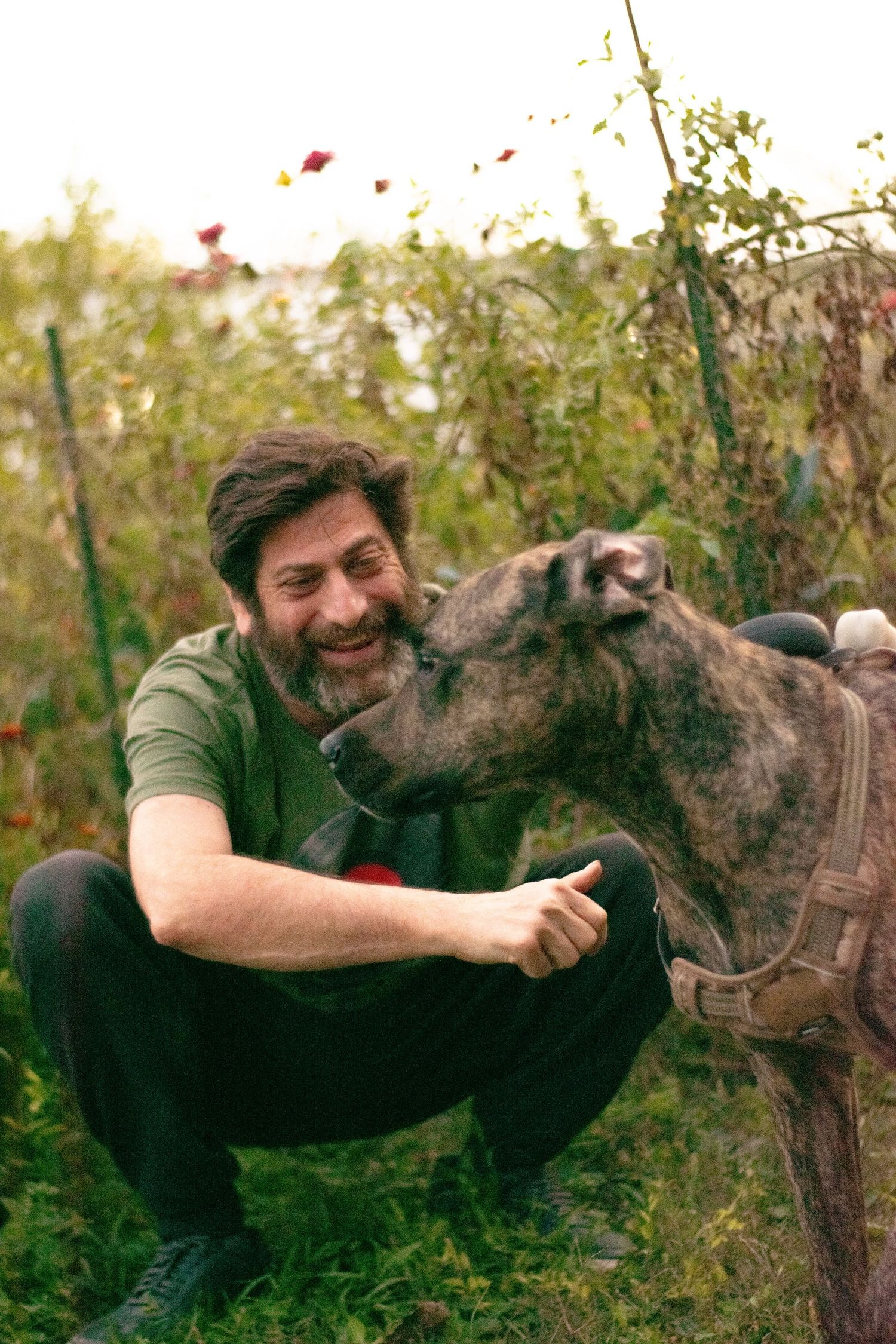 A bearded man laughs joyfully as a brindle dog licks his face in an outdoor garden.