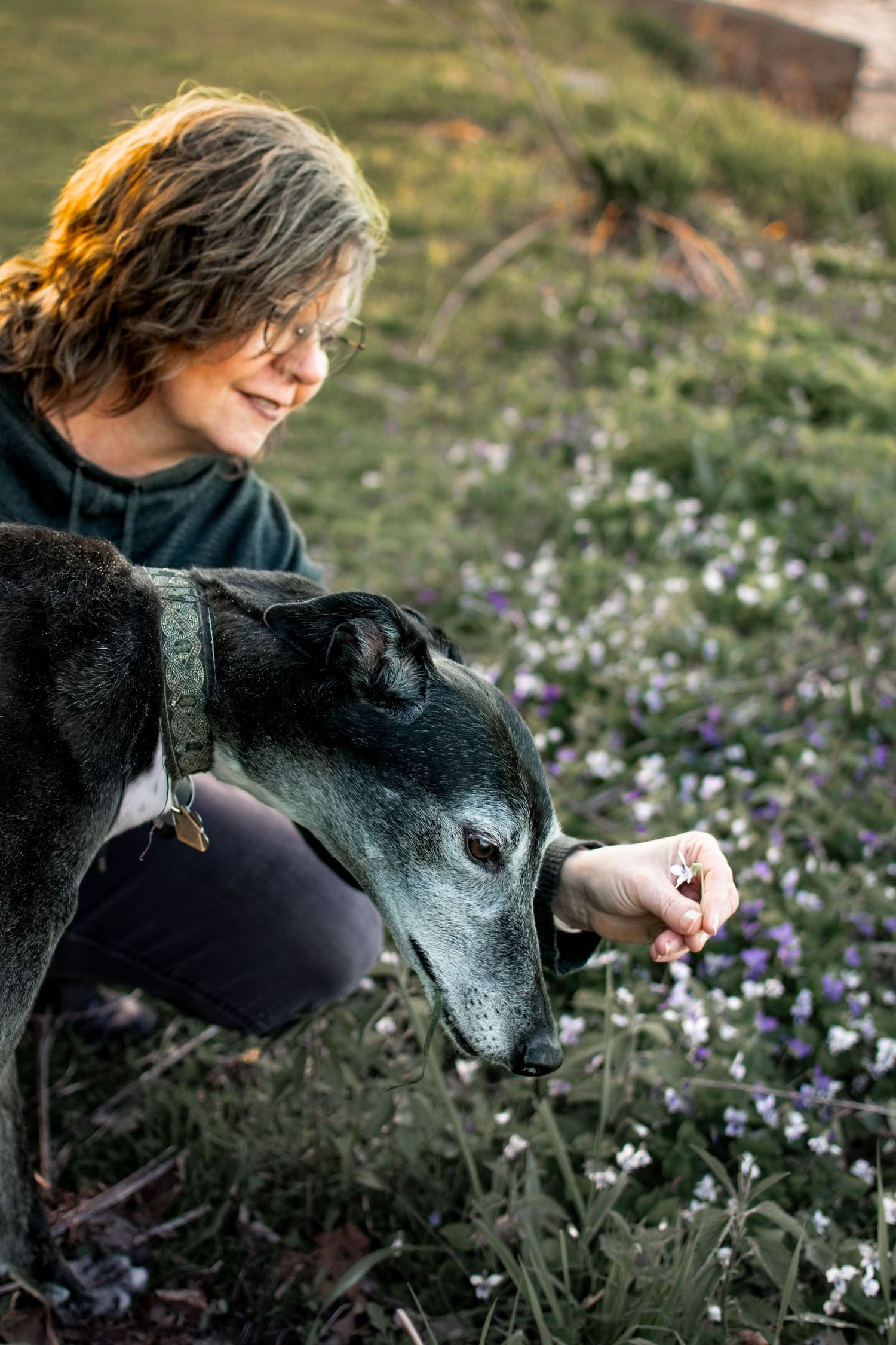 A woman with wavy hair smiles while offering a flower to a black greyhound dog in a field.