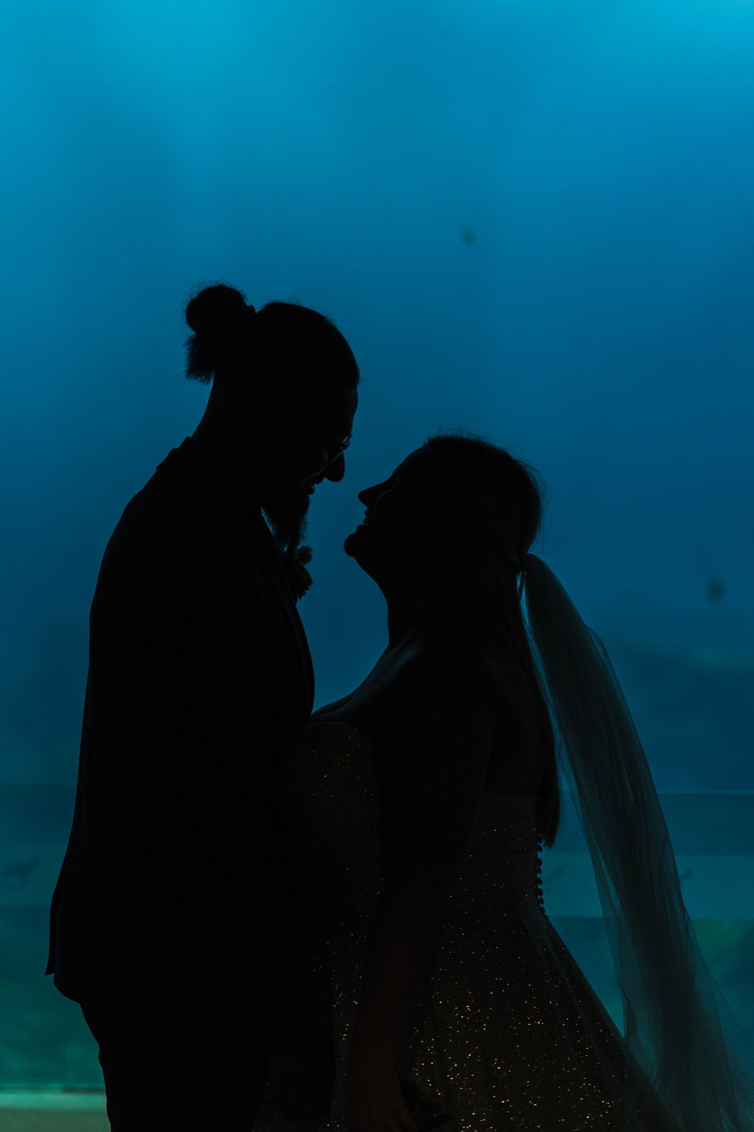 Silhouette of bride and groom facing each other against blue background, wedding veil visible.