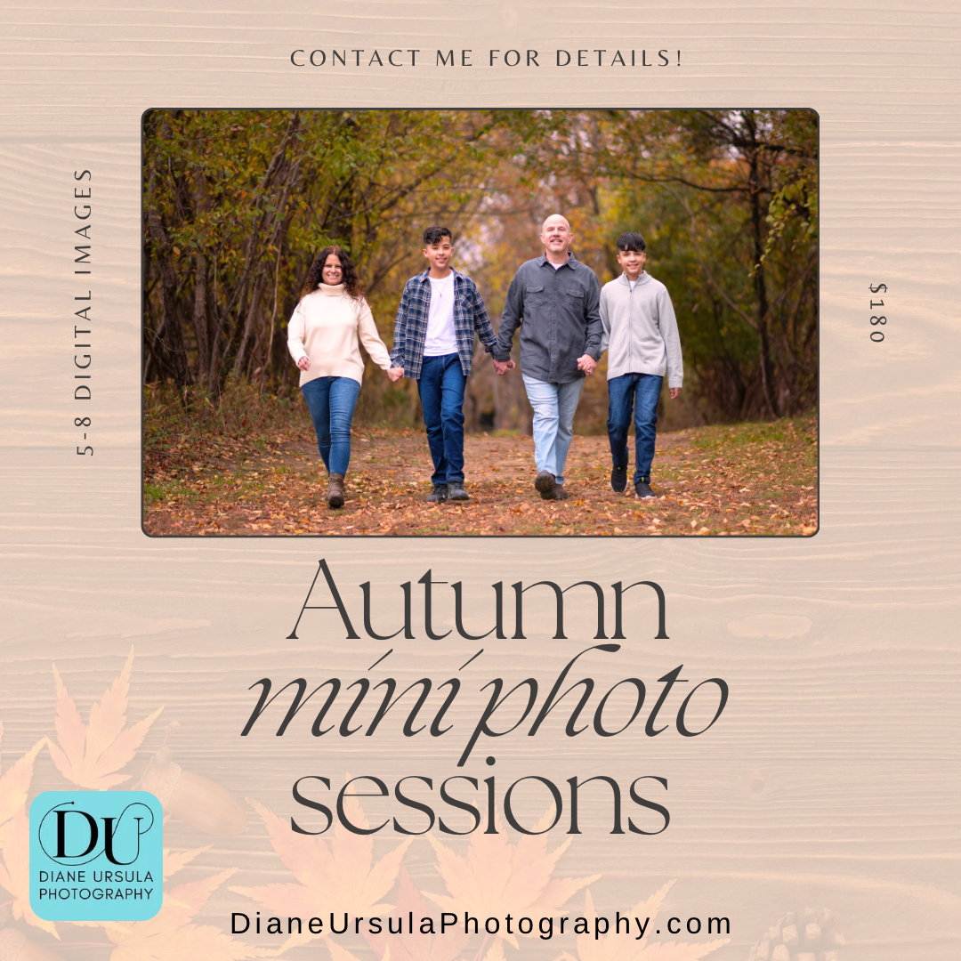 Autumn mini photo sessions promotional flyer featuring a family of four walking on a leaf-covered path in fall foliage.