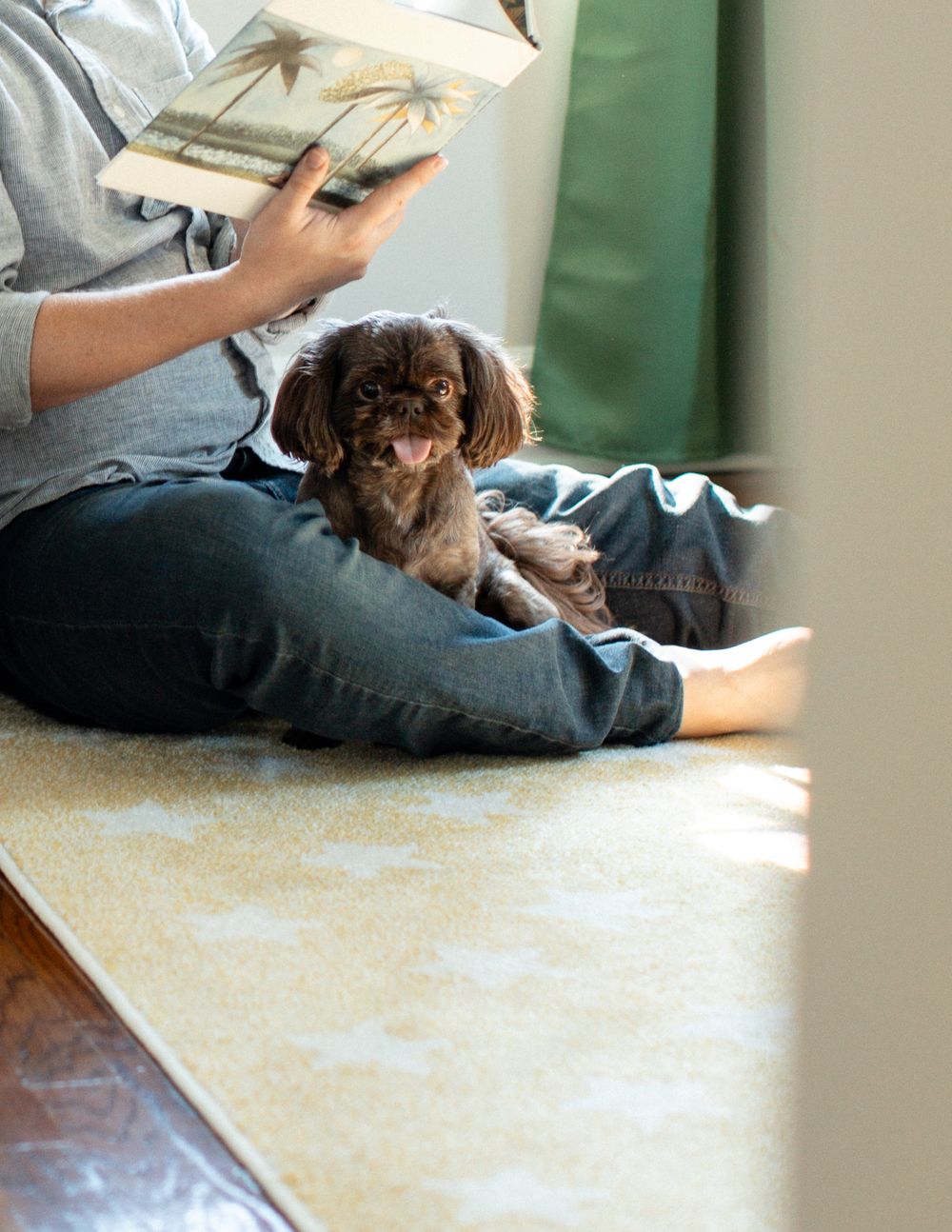 Pet in nursery during in-home maternity session in Flint, Michigan
