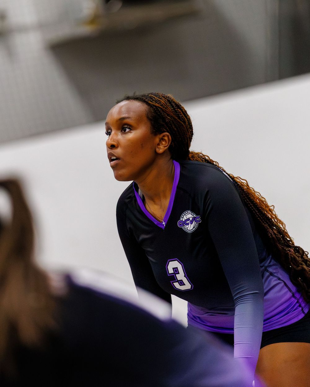 Female volleyball player number 3 in black and purple uniform focused during an indoor game.