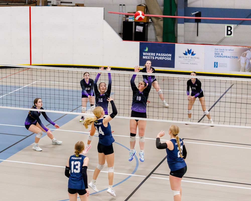 Indoor volleyball match with players blocking at the net in black and navy uniforms.