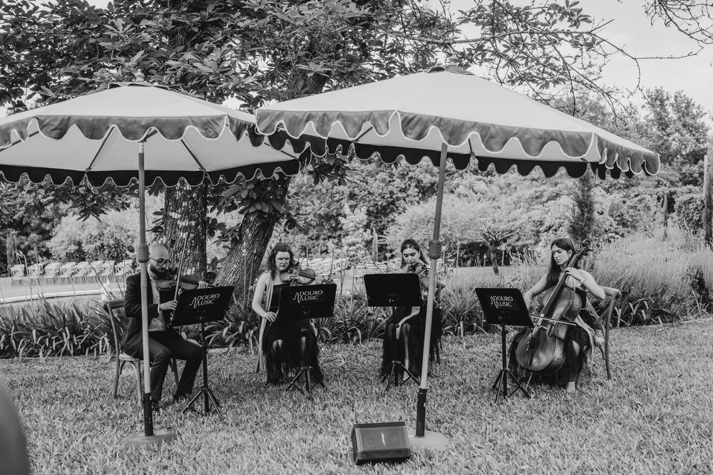 String quartet performing outdoors under white striped umbrellas on a sunny day in a lush garden setting.