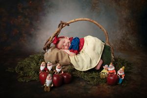 Snow White newborn photoshoot; baby girl Snow White with dwarves newborn photographer Lexington, SC; best studio photos