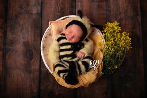 Smiling newborn baby girl in bee outfit posed in bowl newborn photography session; Lexington, SC portrait studio