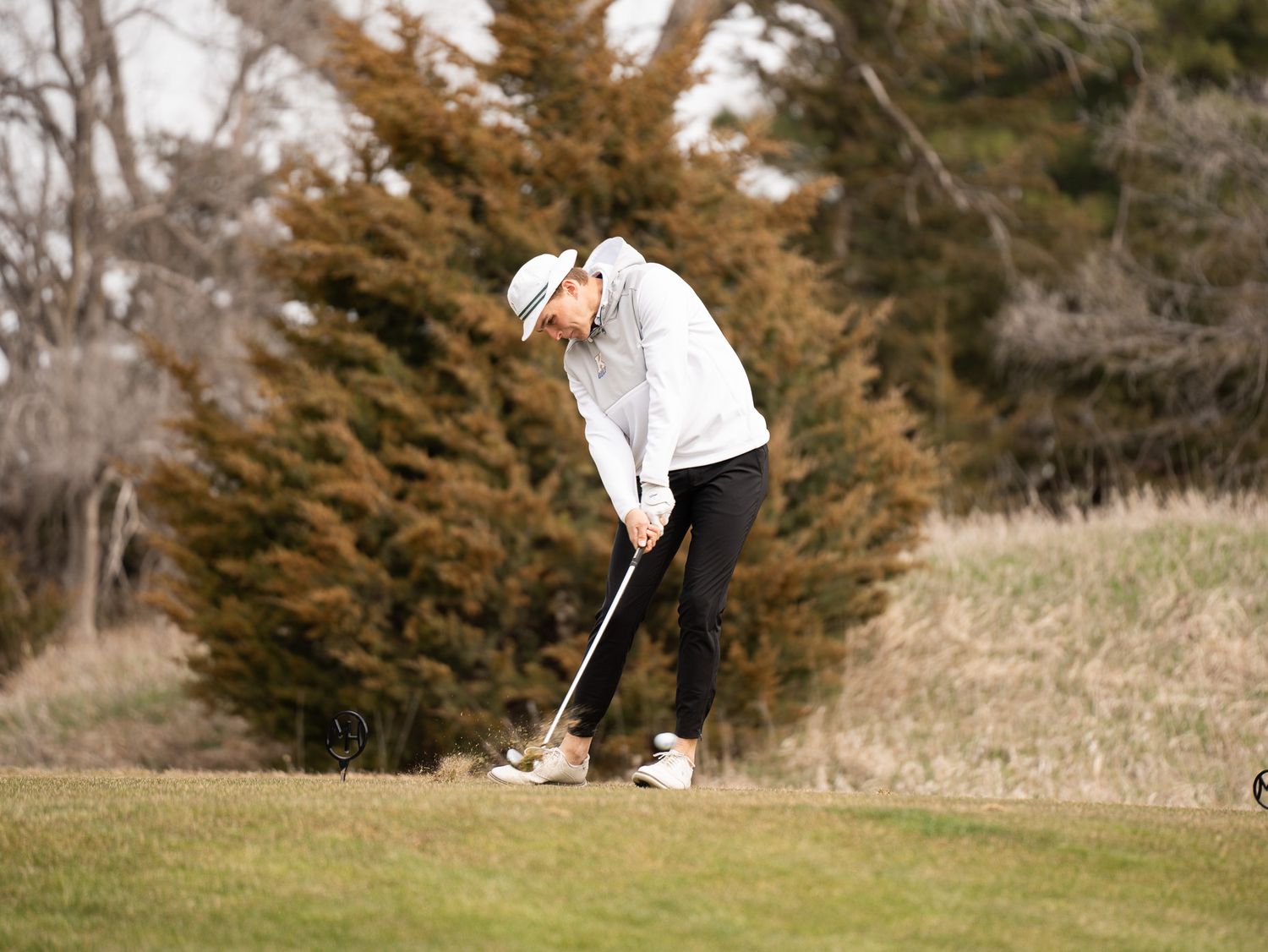 Golfer in white attire focuses on putting green with evergreen trees in background.