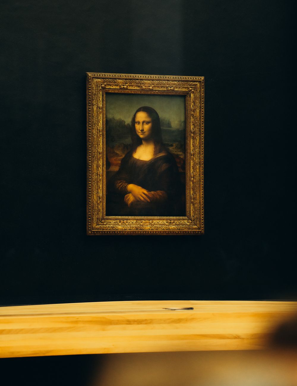 Famous Renaissance portrait painting displayed in an ornate gold frame against a dark museum wall with dramatic lighting.