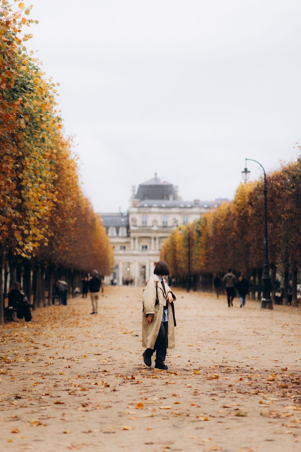 A series of autumn scenes in Paris showing tree-lined paths with fallen leaves leading to a grand building in the distance.
