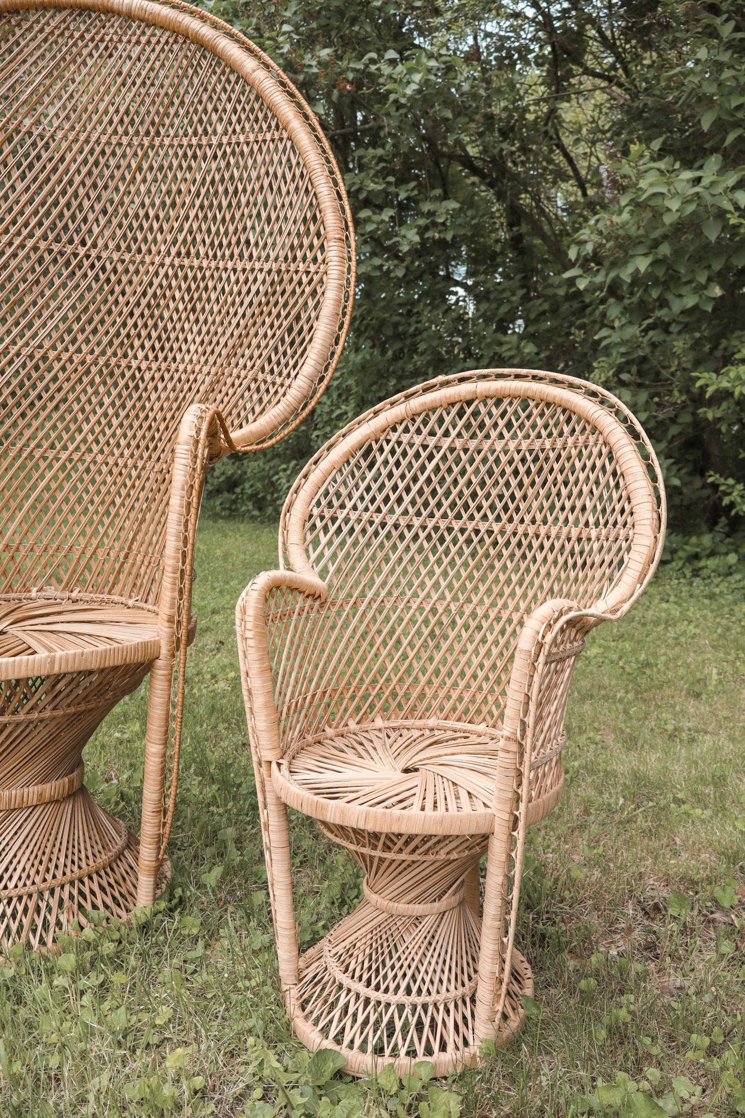 Two vintage peacock wicker chairs with high fan backs sit on grass, displaying intricate woven rattan patterns.