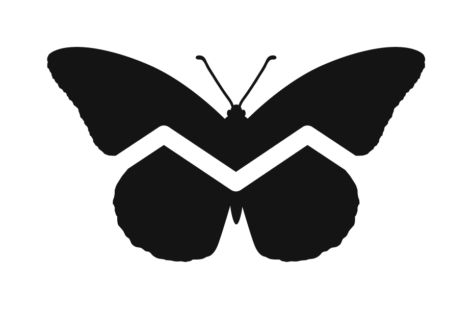 A collection of black butterfly silhouettes arranged side by side showing different wing shapes and patterns.