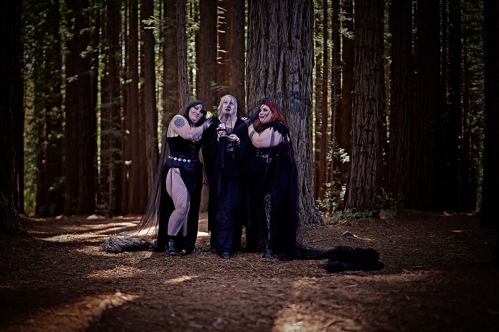 A group huddles together among tall trees in a forest setting during a family photoshoot.