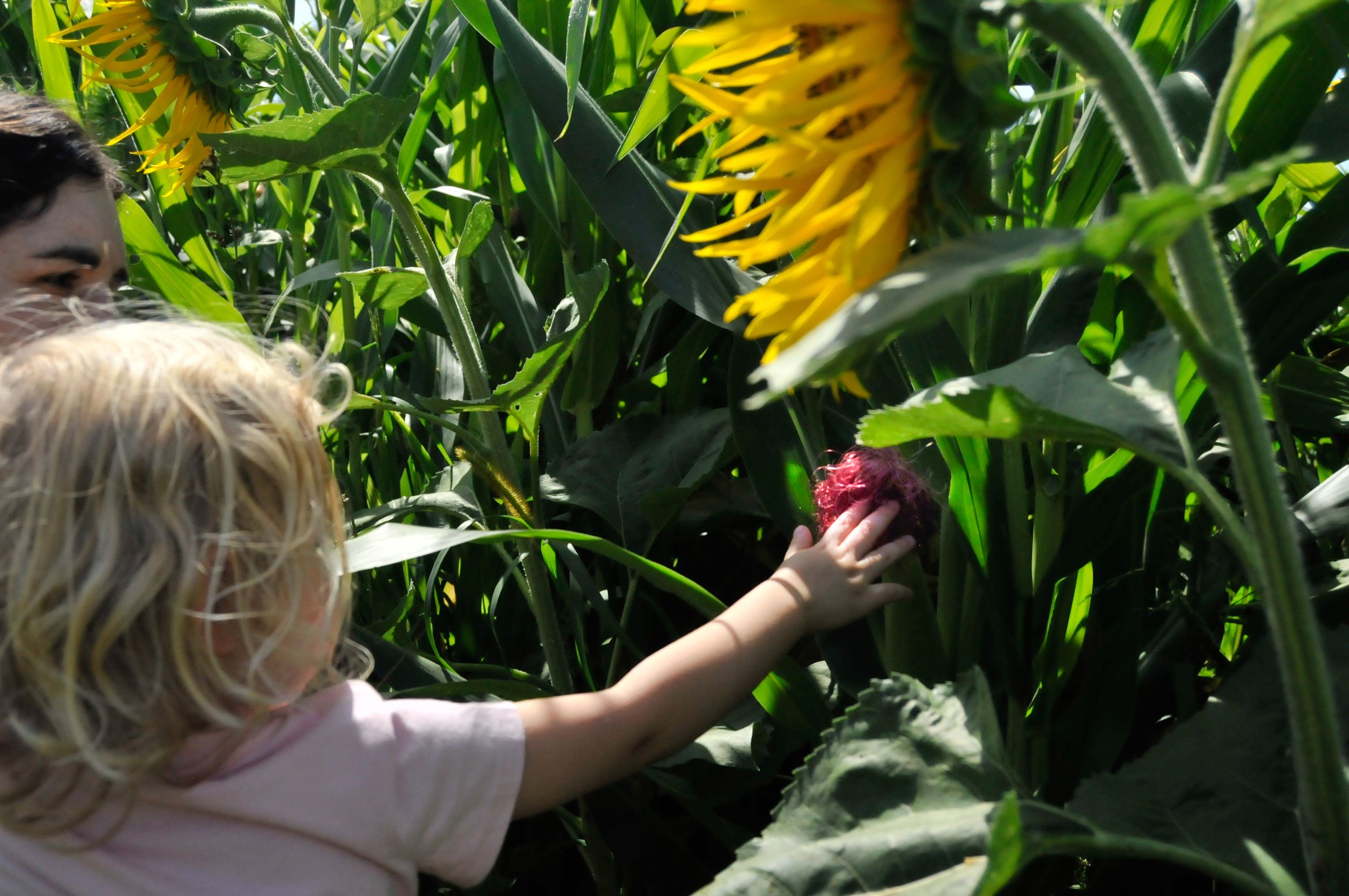 Mother holds daughter in a Vermont country field during an outdoor family photo session.