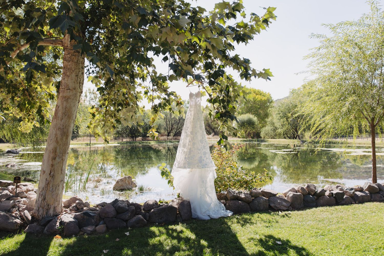 Garden wedding setting with rows of chairs arranged under leafy green trees.