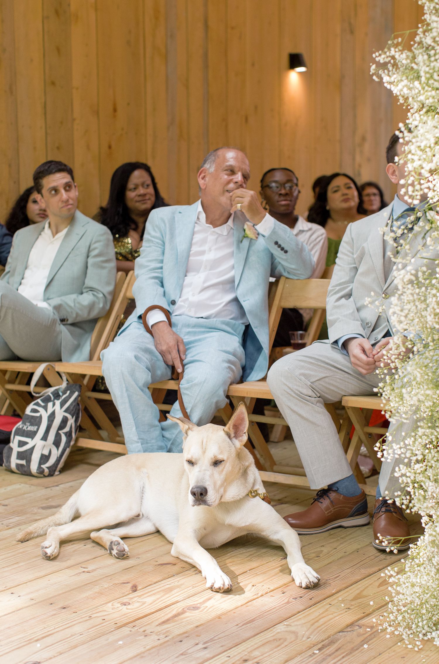 A white dog lies on a wooden floor while people in light-colored attire sit in chairs during a gathering.