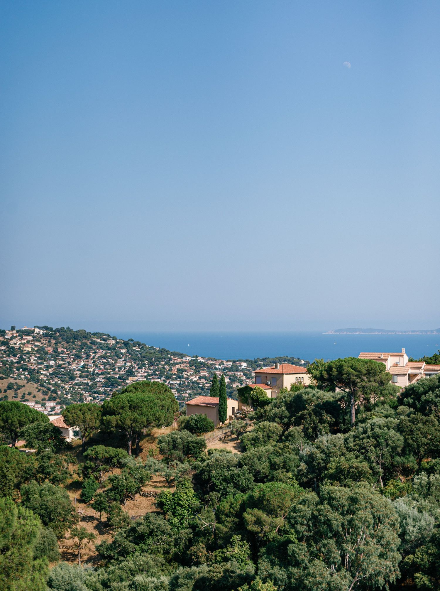 Scenic Mediterranean coastal landscape with hillside houses, olive trees, and blue ocean views near Nice, France.