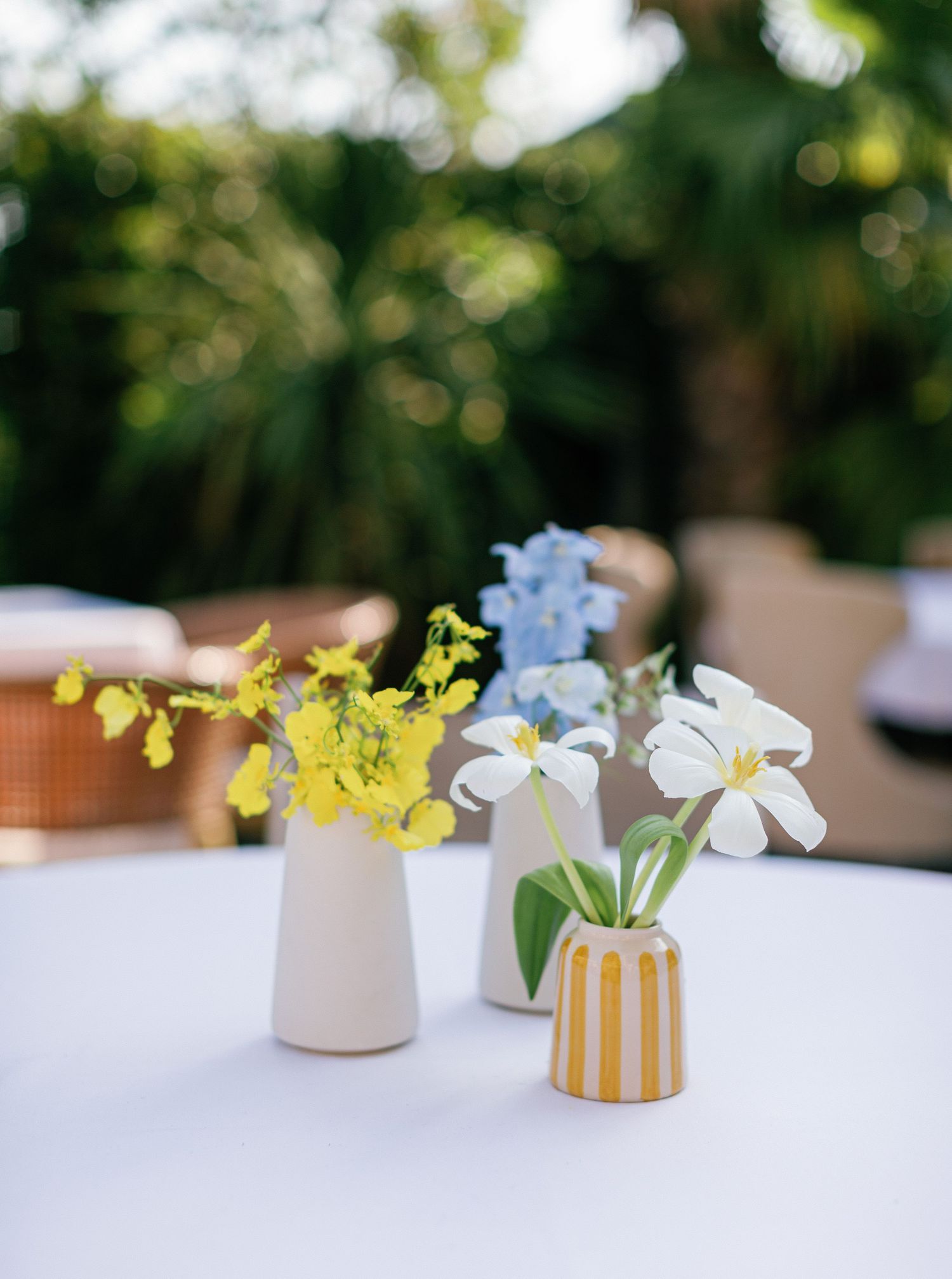 A row of delicate white flowers in small ceramic vases against a blurred natural background creates a minimalist display.